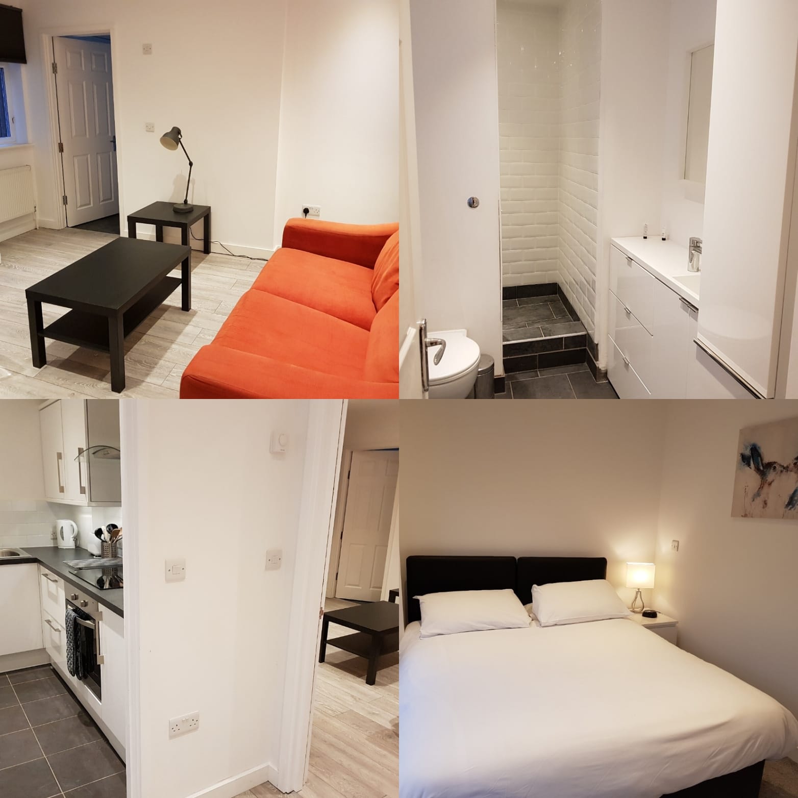Living Room, Bedroom and shower in Croydon Apartment to rent
