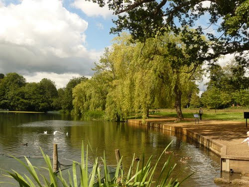 Priory Park in Reigate, Surrey